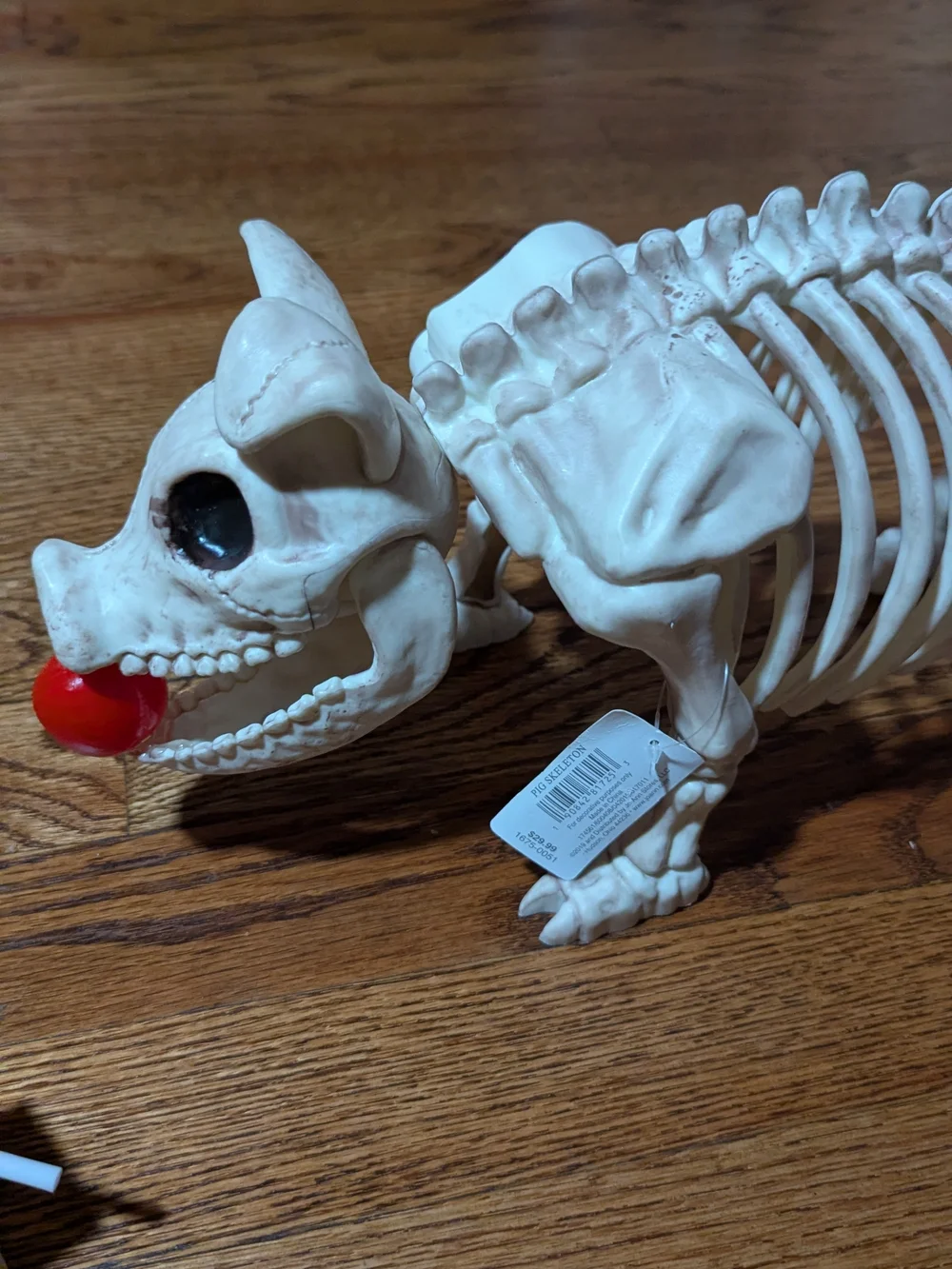 Decorative Reptile Skeleton Dog Toy - Cream with Red Ball + Rat And 2 Spiders